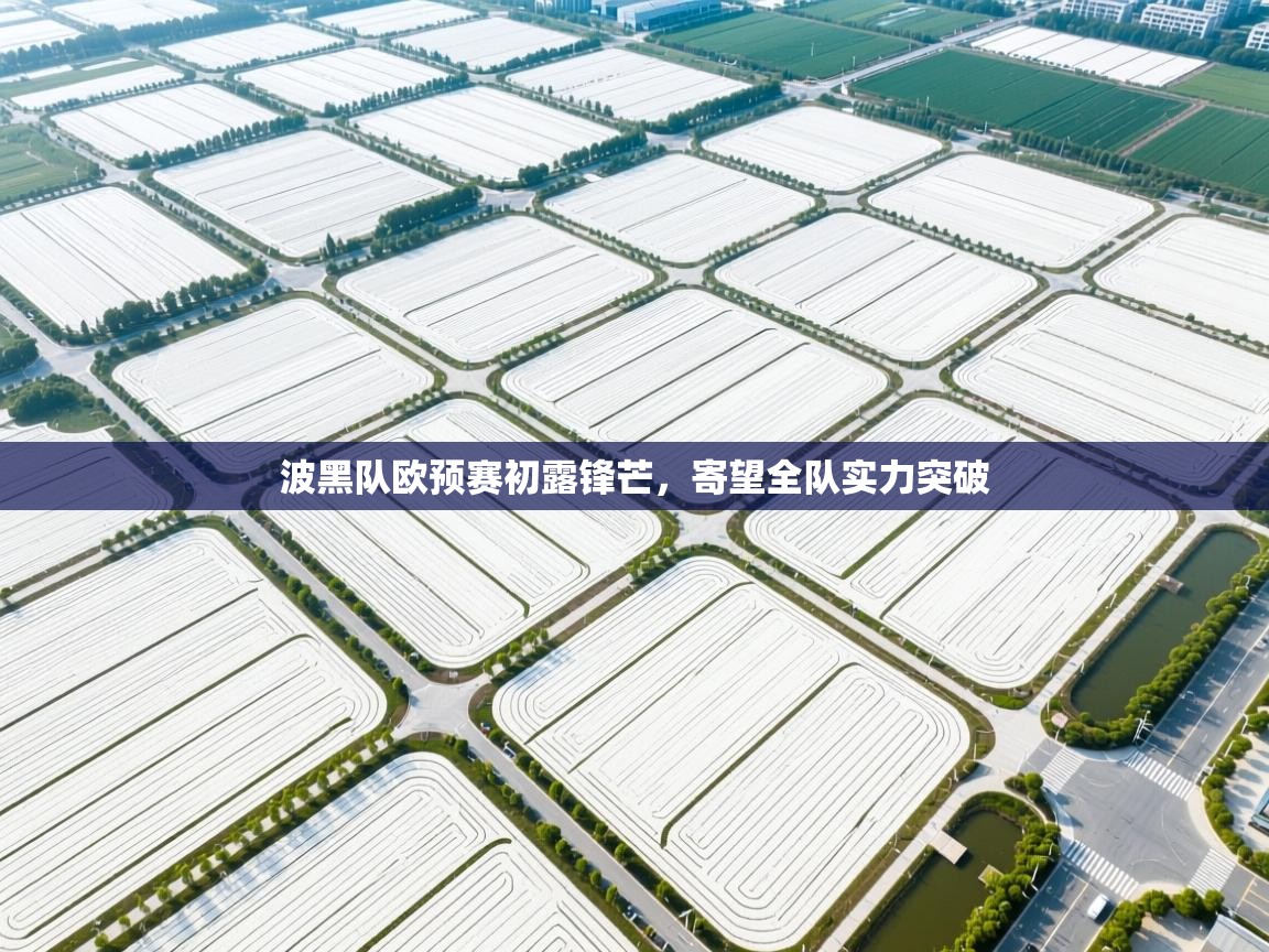 波黑队欧预赛初露锋芒，寄望全队实力突破