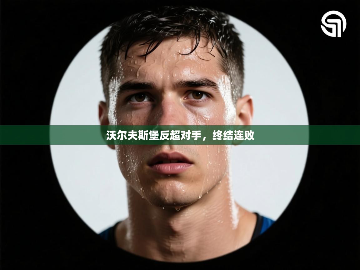 沃尔夫斯堡反超对手,终结连败 第2张