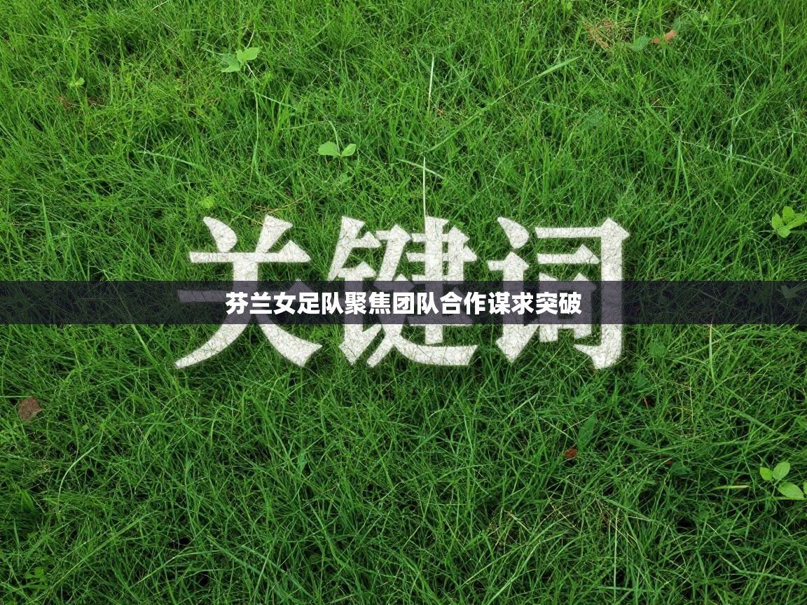 芬兰女足队聚焦团队合作谋求突破