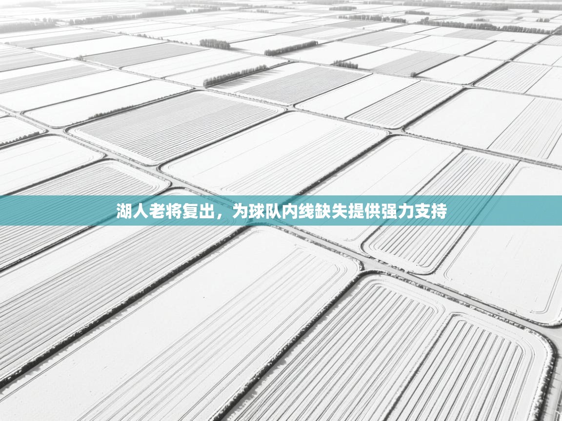 湖人老将复出，为球队内线缺失提供强力支持