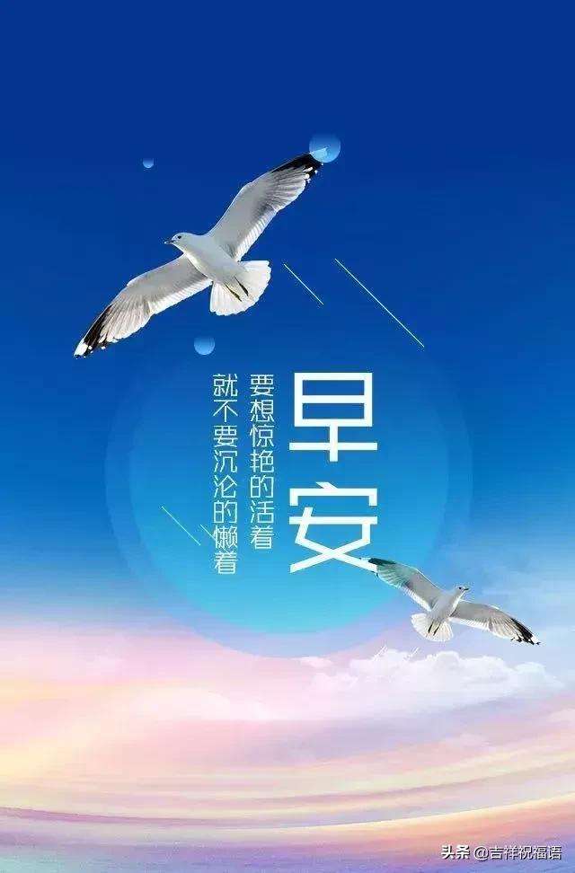 日照渤海：顽强拼搏争取成功的简单介绍